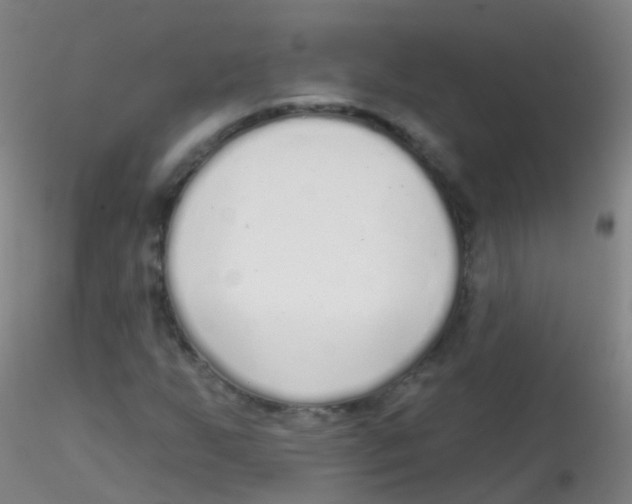 X0000115221255200911251523