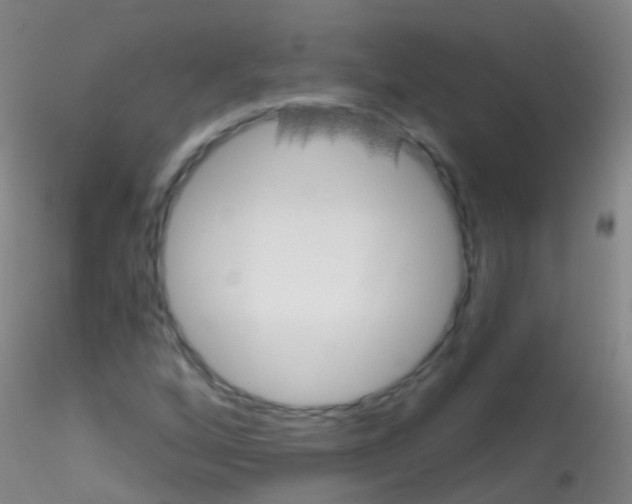 X0000115221256200911251523