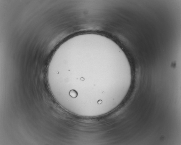 X0000115221257200911251523
