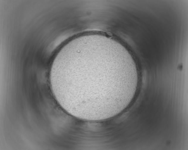 X0000115221258200911251523