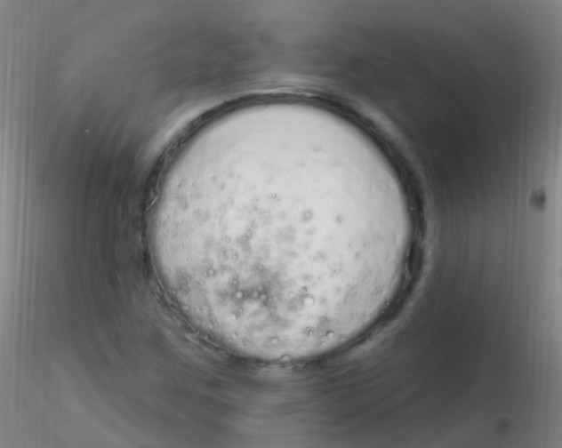 X0000115221259200911251523