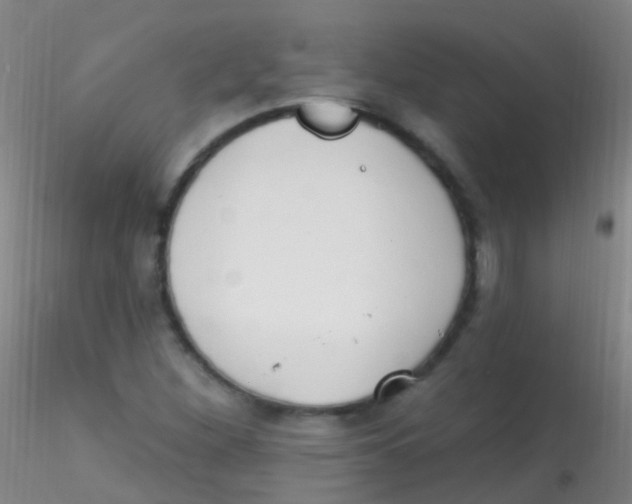 X0000115221260200911251523