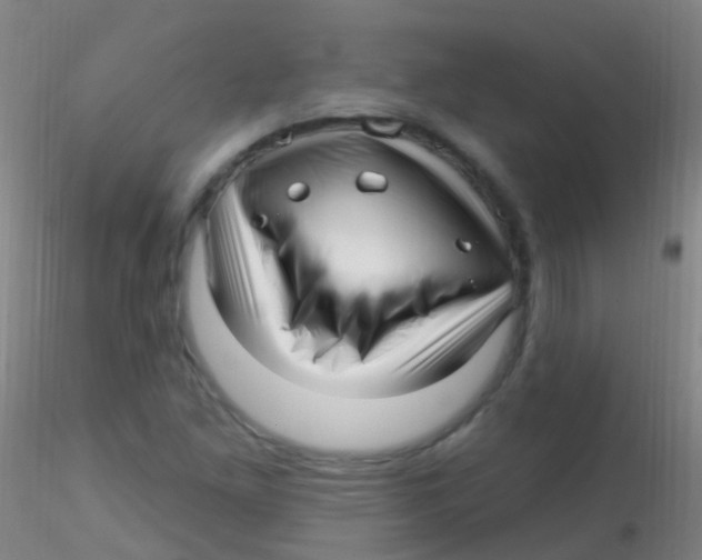X0000115221261200911251523