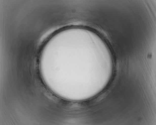 X0000115221263200911251523