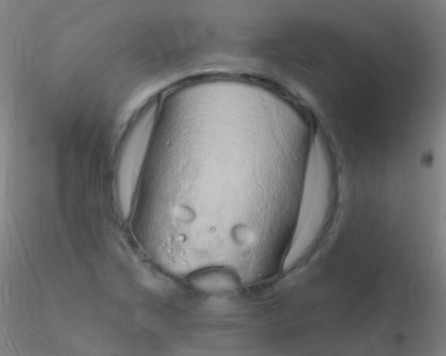 X0000115221267200911251523