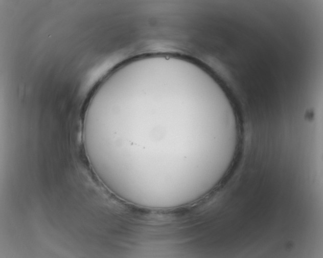 X0000115221269200911251523