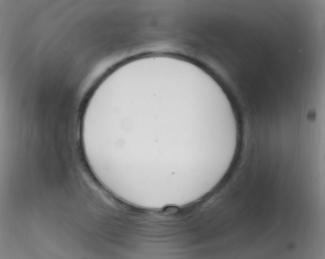 X0000115221270200911251523