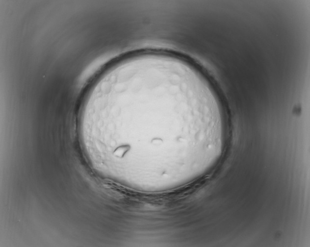 X0000115221271200911251523