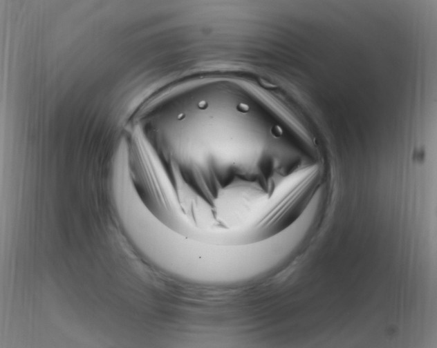 X0000115221273200911251523