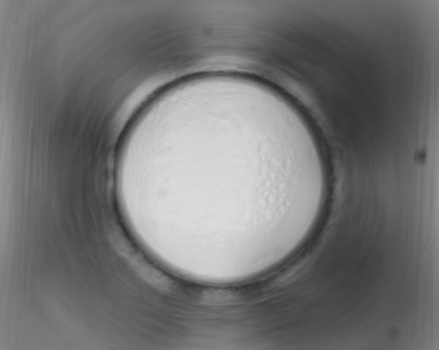 X0000115221275200911251523