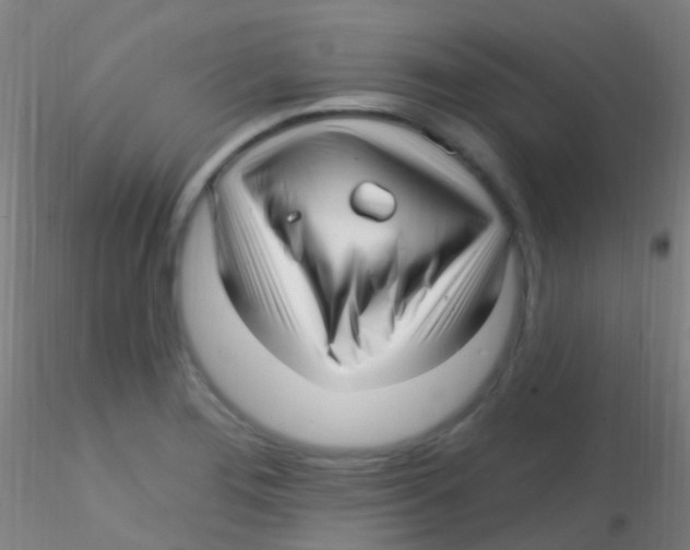 X0000115221276200911251523