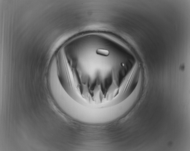 X0000115221277200911251523