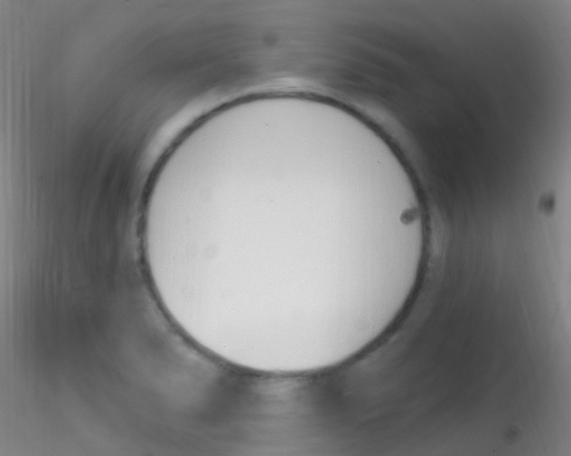 X0000115221278200911251523