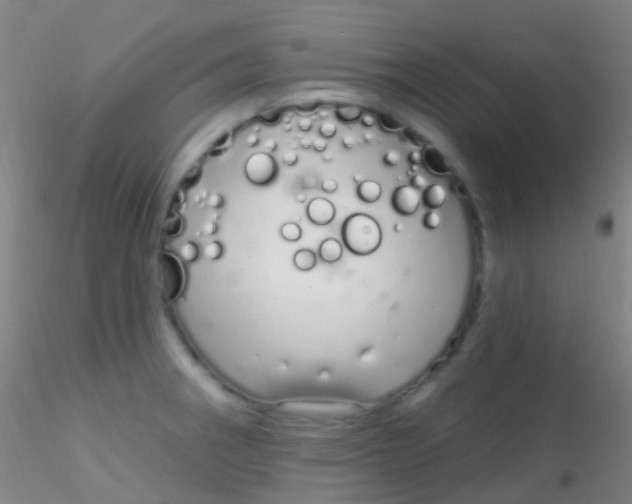 X0000115221282200911251522