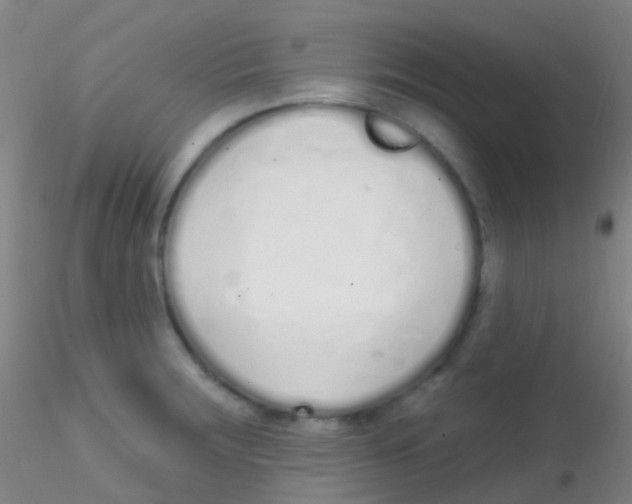 X0000115221283200911251522