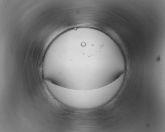 X0000115221284200911251522