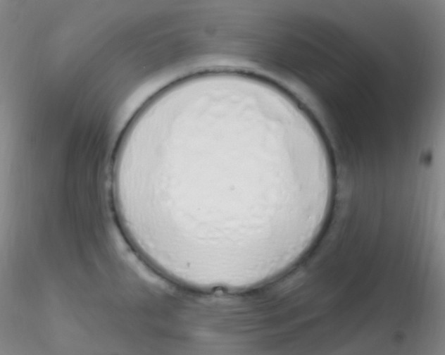 X0000115221287200911251522