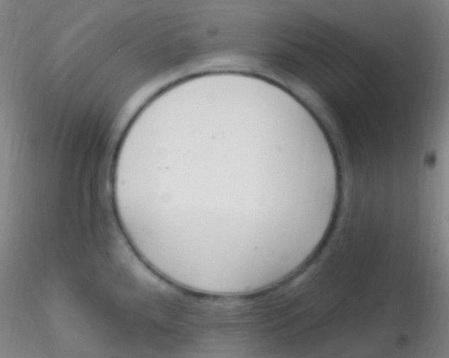 X0000115221288200911251522