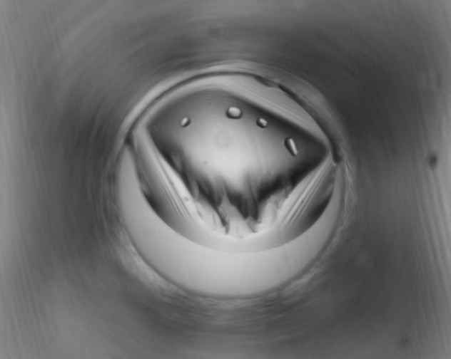 X0000115221292200911251522