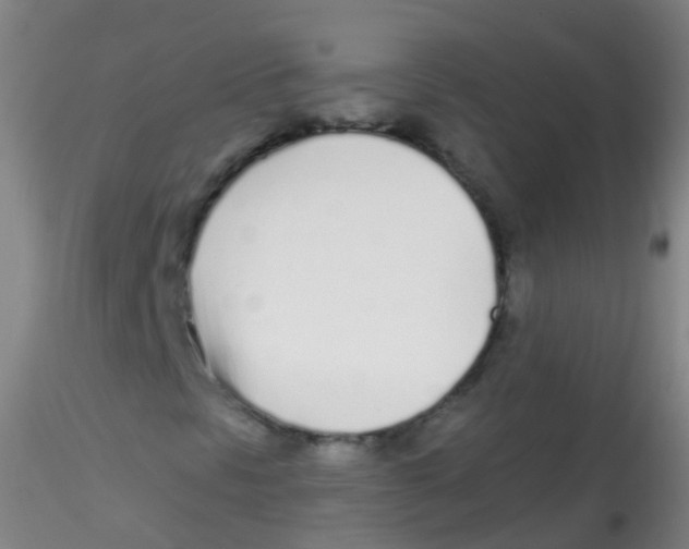 X0000115221297200911251522