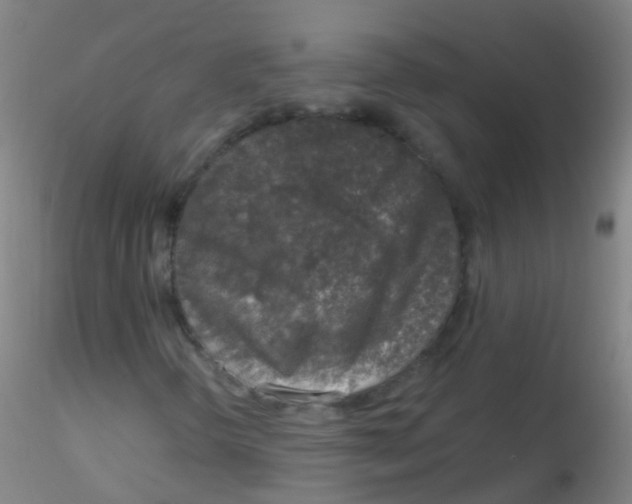 X0000115221298200911251522