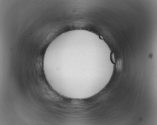 X0000115221299200911251522
