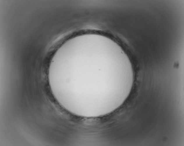 X0000115221303200911251522