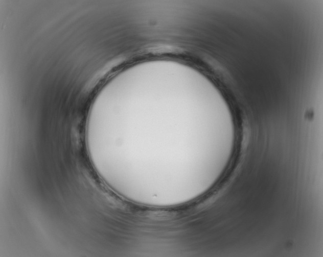 X0000115221305200911251522
