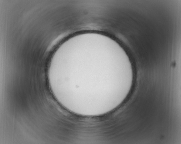 X0000115221307200911251522