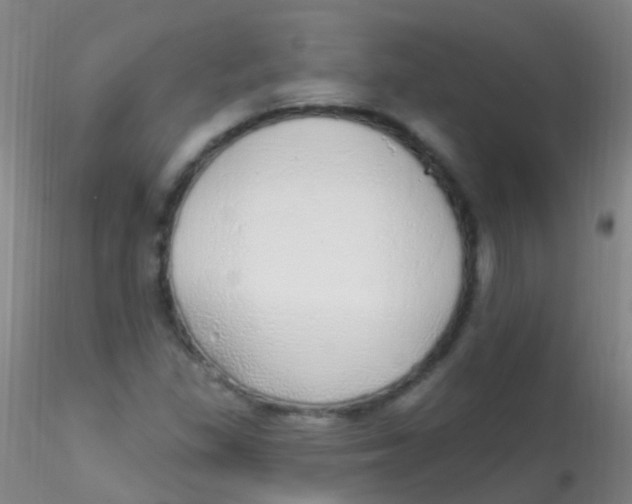 X0000115221309200911251522