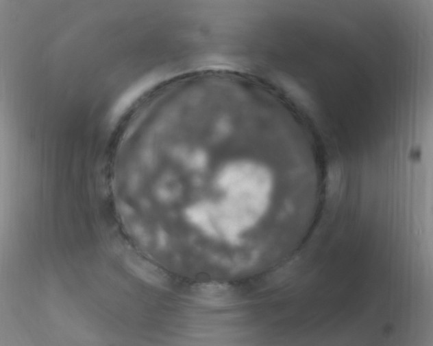X0000115221310200911251522