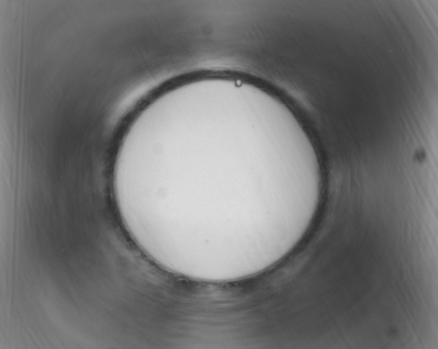 X0000115221311200911251522