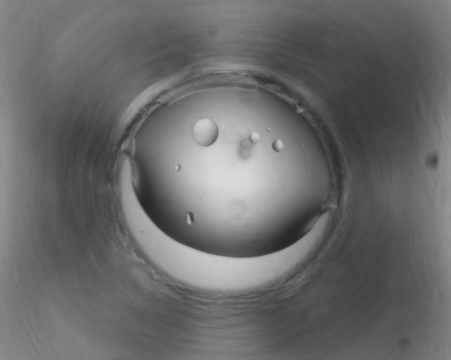 X0000115221314200911251522