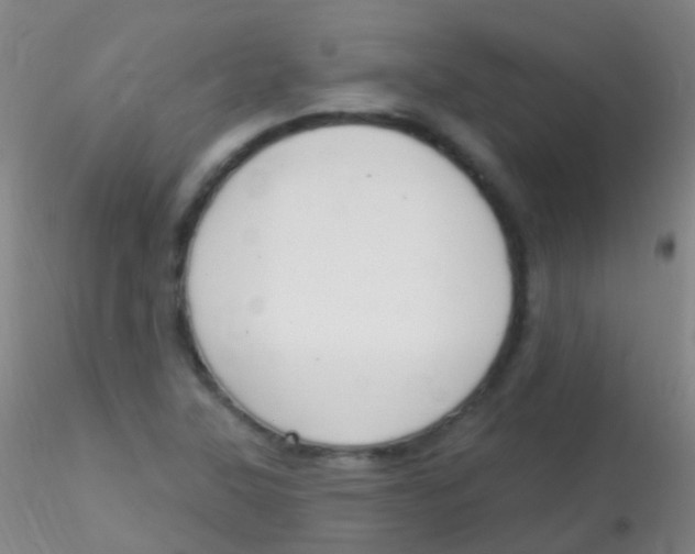 X0000115221315200911251522
