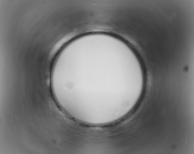X0000115221317200911251522
