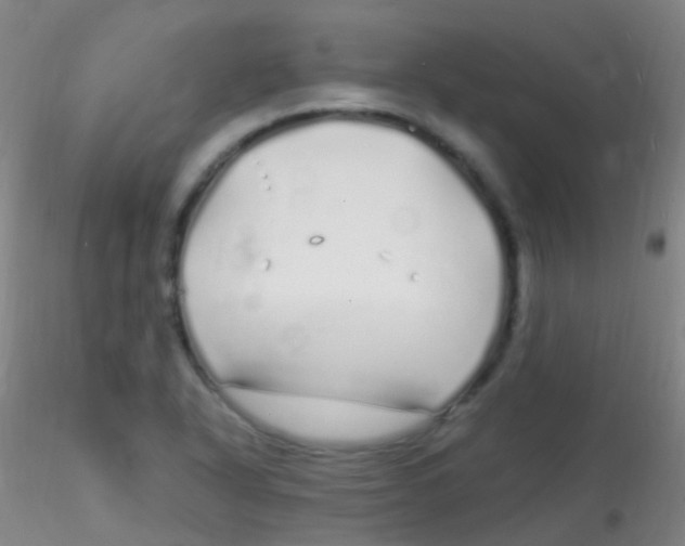 X0000115221318200911251522