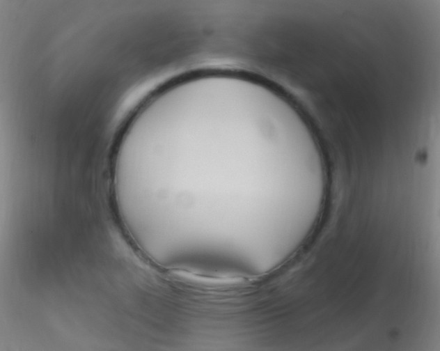 X0000115221319200911251522