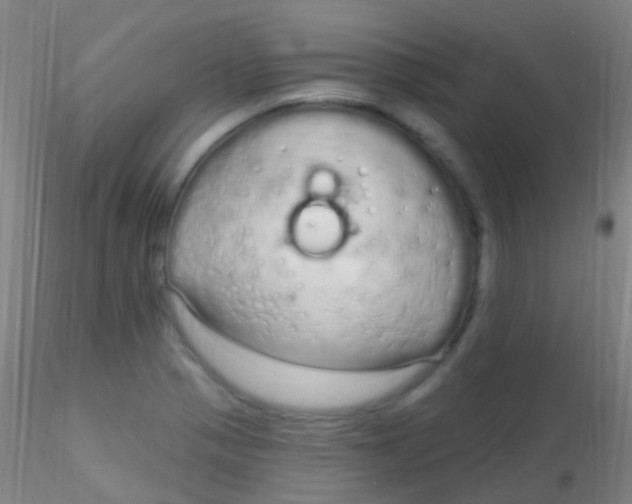 X0000115221321200911251522