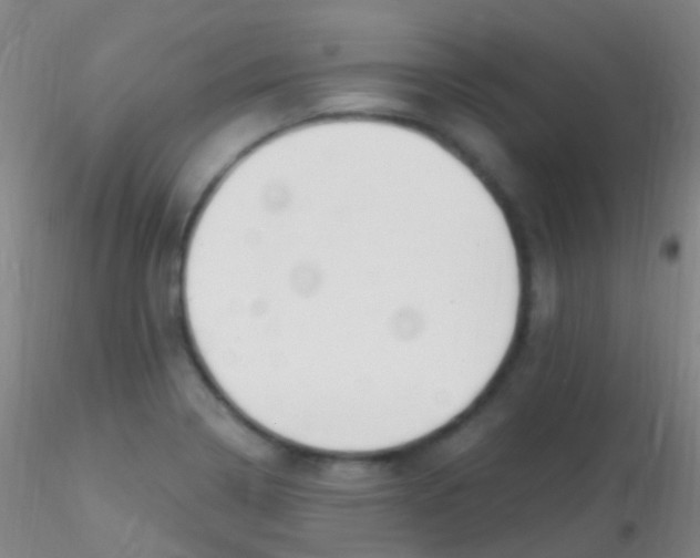 X0000115221322200911251522