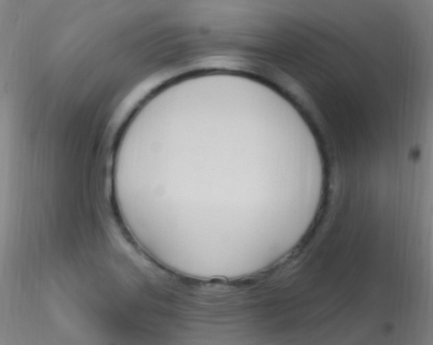 X0000115221323200911251522