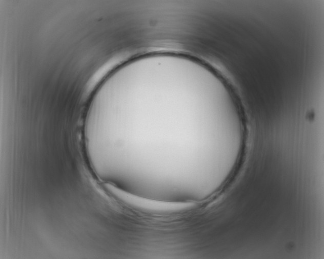 X0000115221325200911251522