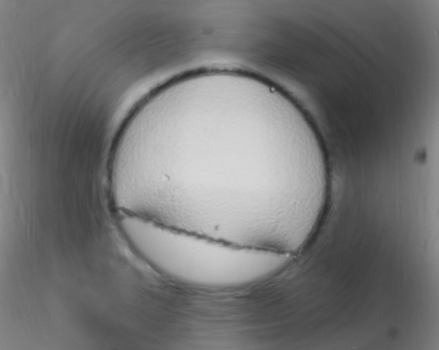 X0000115221327200911251522