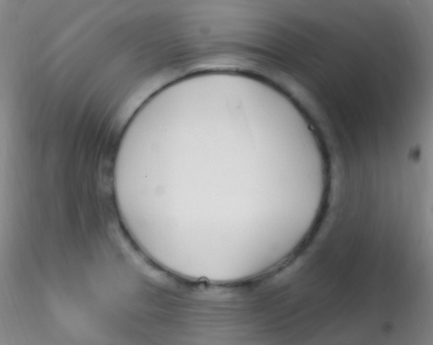 X0000115221329200911251522
