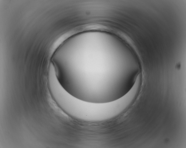 X0000115221330200911251522