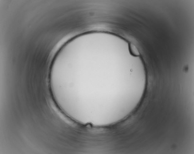 X0000115221331200911251522