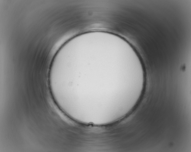 X0000115221333200911251522