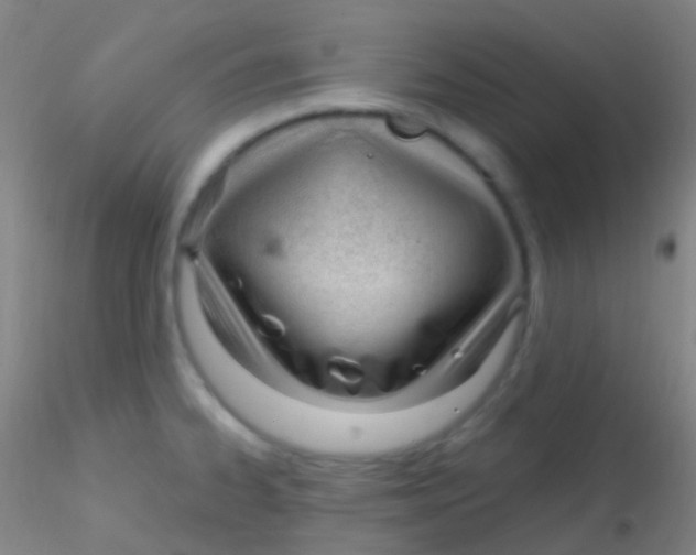 X0000115221334200911251522