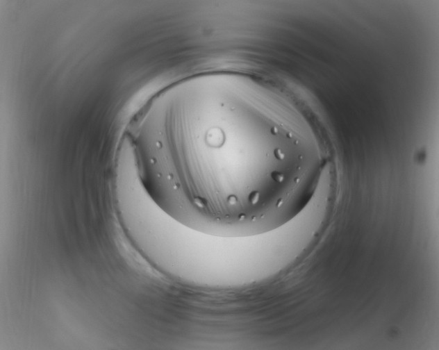 X0000115221338200911251522