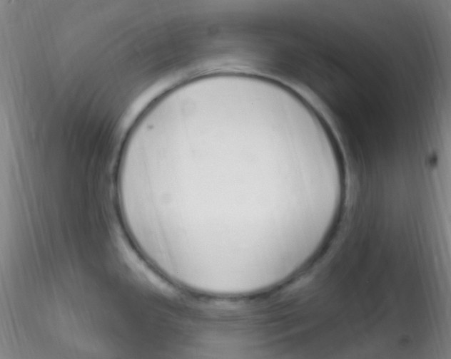 X0000115221341200911251522