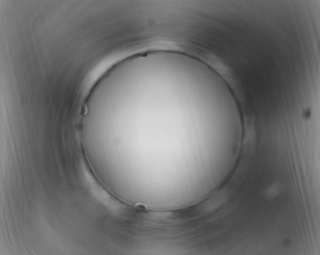X0000115221342200911251522